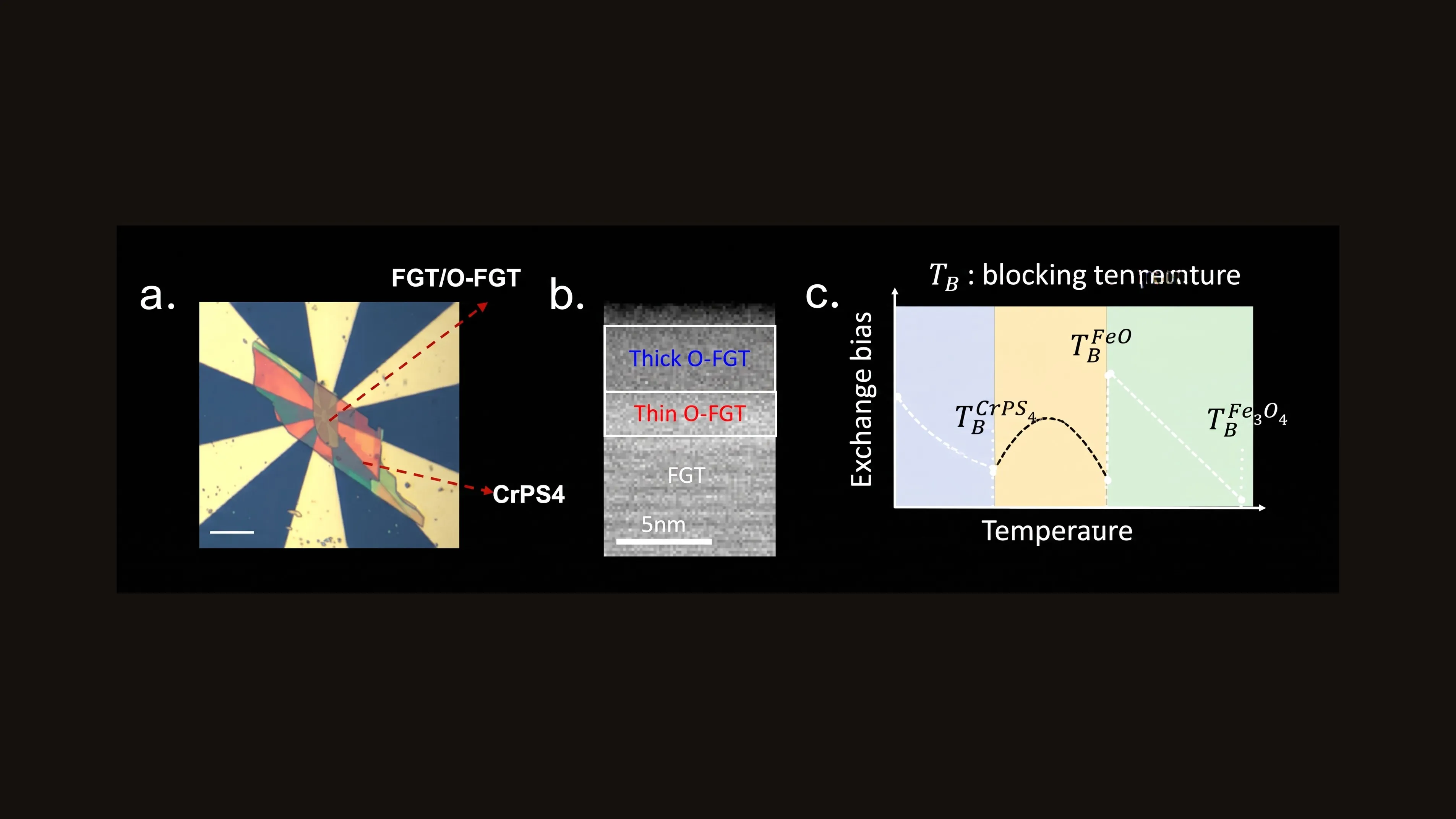 Three panels on a dark ground: an optical micrograph of the device with the FGT/O-FGT and CrPS4 regions arrowed across eight gold contacts; a greyscale cross-sectional electron micrograph showing three stacked bands labelled thick O-FGT, thin O-FGT and FGT with a 5 nm scale bar; and a schematic of exchange bias against temperature divided into three shaded regions marking the blocking temperatures of CrPS4, FeO and Fe3O4.