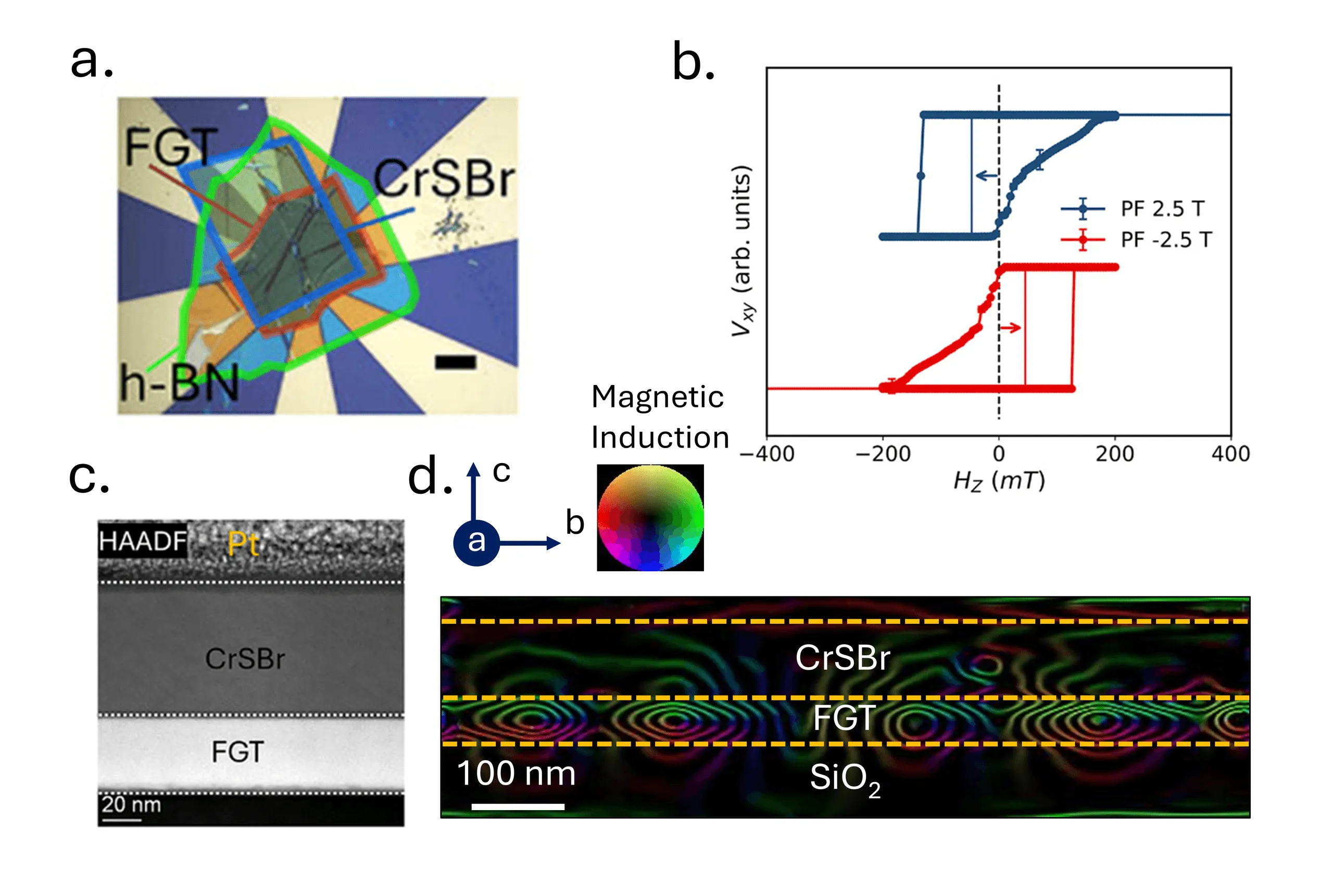 Four panels. Top left: an optical micrograph of the device with coloured outlines labelling the FGT, CrSBr and h-BN flakes over blue and gold contacts. Top right: two Hall-voltage hysteresis loops against out-of-plane field between minus 400 and 400 millitesla, a blue loop shifted to negative field after a plus 2.5 tesla preset and a red loop shifted to positive field after a minus 2.5 tesla preset. Bottom left: a greyscale cross-sectional electron micrograph with a 20 nm scale bar showing a platinum capping layer over a CrSBr layer over an FGT layer, separated by dotted lines. Bottom right: a colour-coded magnetic induction map of the same cross-section with a 100 nm scale bar, the CrSBr, FGT and SiO2 layers marked by dashed yellow lines and the crystal axes and colour wheel shown alongside; within the FGT band a row of concentric closed contour loops in green, red and magenta marks circulating flux-closure domains, with the contours in the CrSBr band above running roughly parallel to the interface.