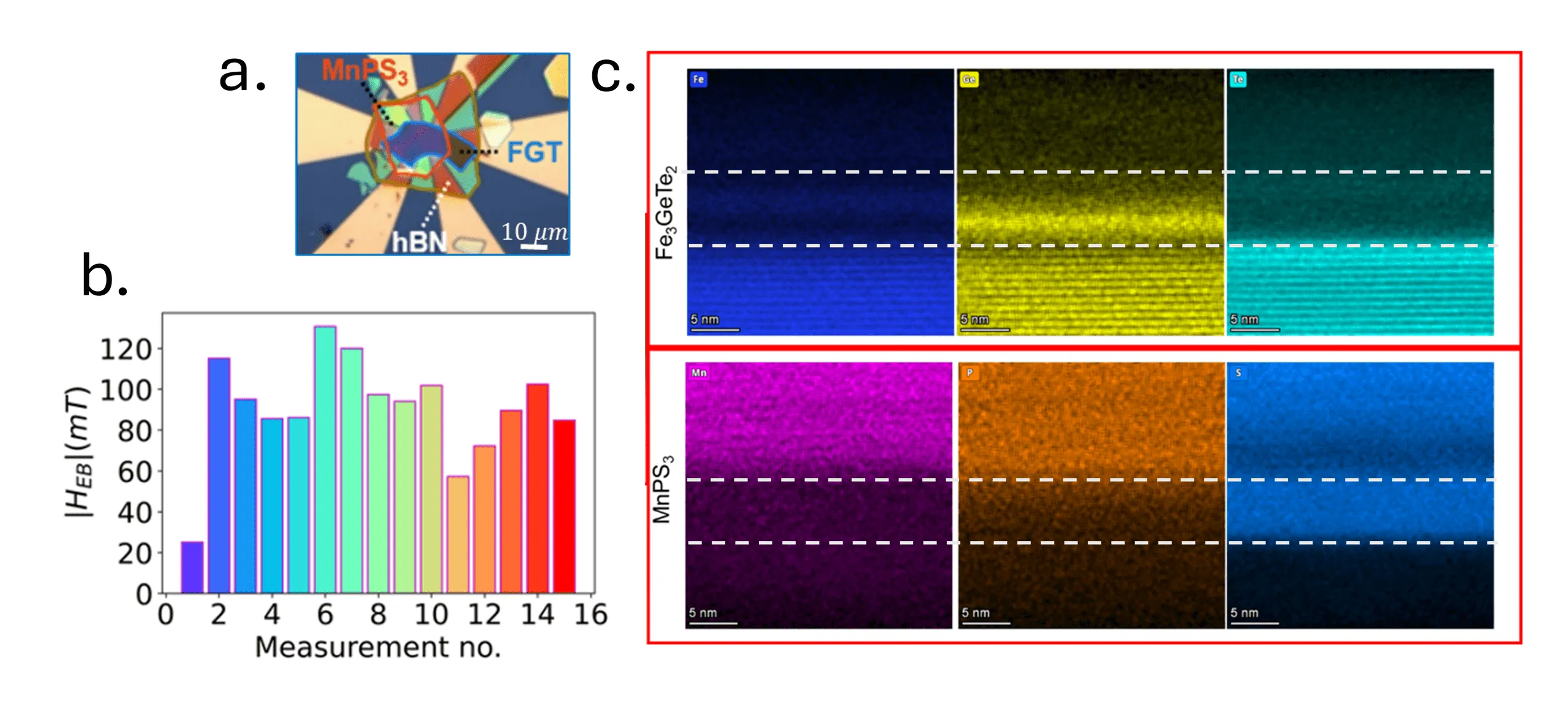 Three panels. Top left: an optical micrograph of the device, a blue FGT flake under a red-outlined MnPS3 flake and a dotted hBN outline, on gold contacts, with a 10 micrometre scale bar. Bottom left: a bar chart of exchange bias magnitude in millitesla against measurement number from 1 to 15, the bars ranging from about 25 to 132 millitesla with no monotonic trend. Right: six false-colour elemental maps in two rows, iron, germanium and tellurium for the Fe3GeTe2 layer above, manganese, phosphorus and sulfur for the MnPS3 layer below, each with dashed white lines marking the interface region and a 5 nm scale bar.