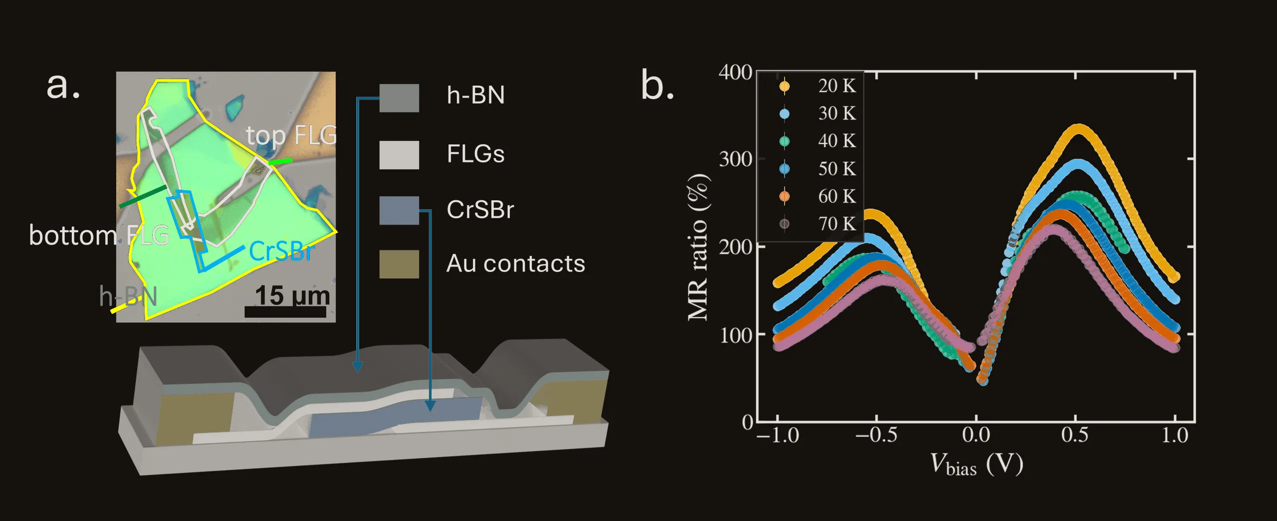 Two panels on a dark ground. Left: an optical micrograph of the device with the h-BN, top and bottom few-layer graphene and CrSBr flakes outlined, with a 15 micrometre scale bar, above a three-dimensional cutaway schematic of the same stack showing h-BN capping over the graphene electrodes, the CrSBr layer and gold contacts on a substrate, with a colour key. Right: magnetoresistance ratio in percent against bias voltage from minus 1 to plus 1 volt for six temperatures from 20 to 70 K. Every curve is M-shaped with a deep minimum at zero bias and two maxima near plus and minus 0.5 volts, the 20 K curve peaking near 350 percent and each warmer curve lying lower.
