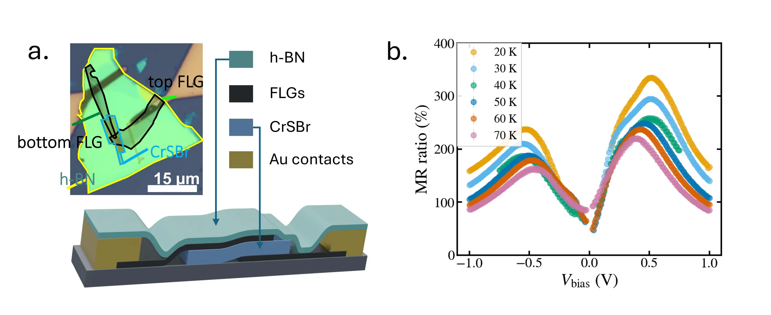 Two panels. Left: an optical micrograph of the device with the h-BN, top and bottom few-layer graphene and CrSBr flakes outlined in yellow, black and blue with a 15 micrometre scale bar, above a three-dimensional cutaway schematic of the same stack showing h-BN capping over the graphene electrodes, the CrSBr layer and gold contacts on a substrate. Right: magnetoresistance ratio in percent against bias voltage from minus 1 to plus 1 volt, plotted for six temperatures from 20 to 70 K. Every curve is M-shaped with a deep minimum at zero bias and two maxima near plus and minus 0.5 volts, the 20 K curve peaking near 350 percent and each successive temperature lying lower.
