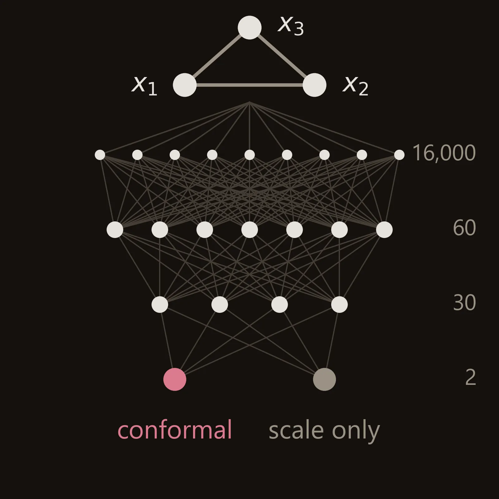 A schematic. Three points labelled x1, x2 and x3 at the top, joined in a triangle, feed a neural network drawn as rows of nodes labelled 16,000, 60, 30 and 2. The two output nodes at the bottom are labelled conformal, in rose, and scale only, in grey.