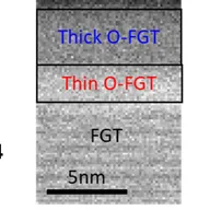 A greyscale cross-sectional electron micrograph with a 5 nm scale bar, showing three stacked bands outlined in black and labelled thick O-FGT, thin O-FGT and FGT.